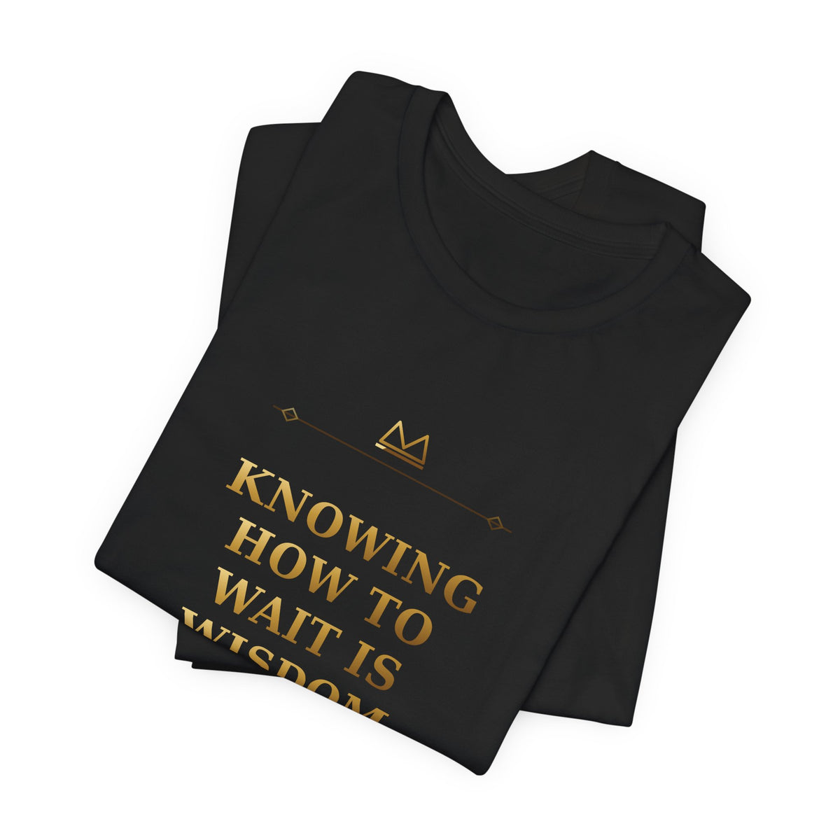 KNOWING HOW TO WAIT IS WISDOM — Ogunda 3 Minimal T-Shirt product mockup view 4