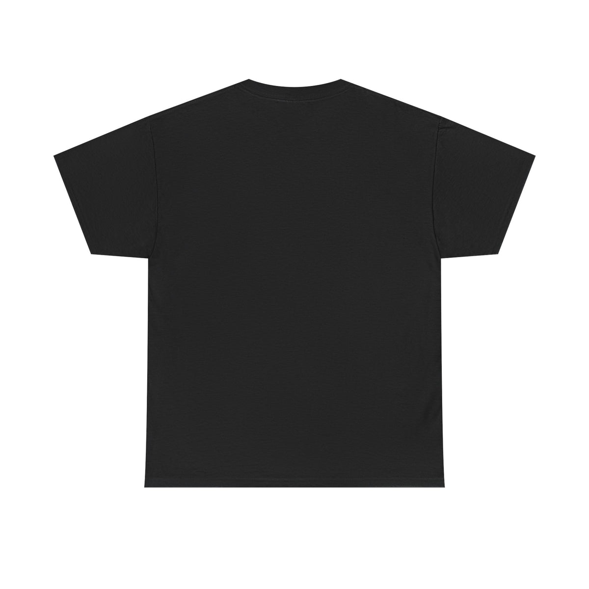 Babalú-Ayé Essential T-Shirt — black, plain back view