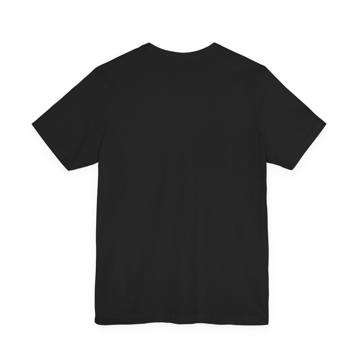Oshún & Caridad del Cobre — Historical Correspondence T-Shirt product mockup view 7