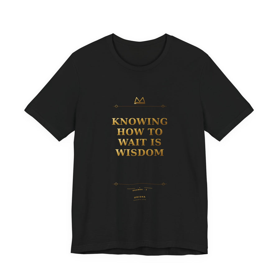 KNOWING HOW TO WAIT IS WISDOM — Ogunda 3 Minimal T-Shirt product mockup