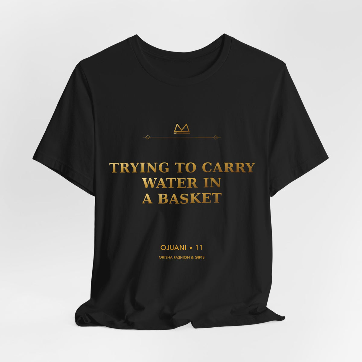 TRYING TO CARRY WATER IN A BASKET — Ojuani 11 Minimal T-Shirt product mockup view 5