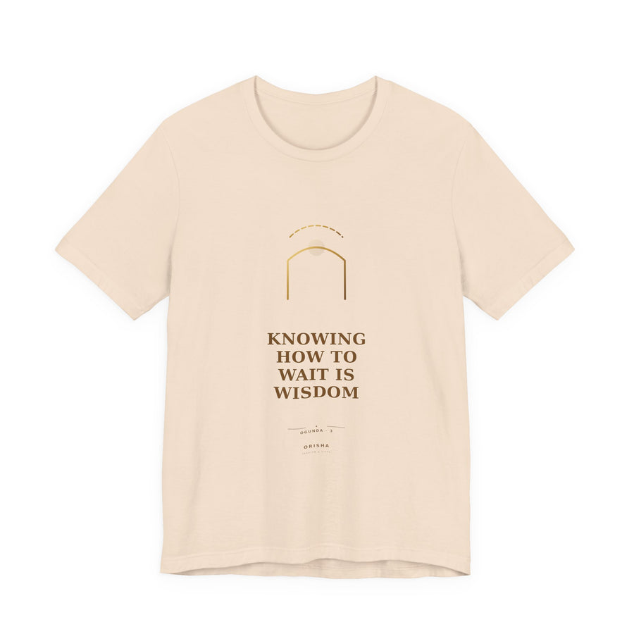 KNOWING HOW TO WAIT IS WISDOM — Ogunda 3 Illustrated T-Shirt product mockup