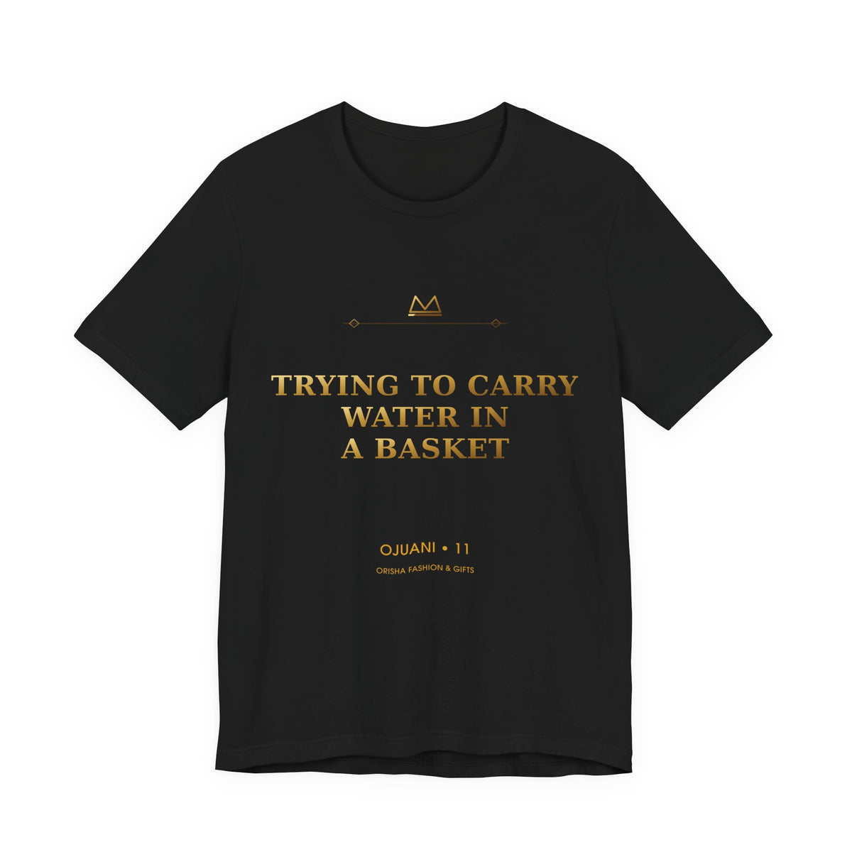 TRYING TO CARRY WATER IN A BASKET — Ojuani 11 Minimal T-Shirt product mockup